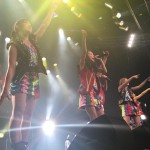 Cheeky Parade4